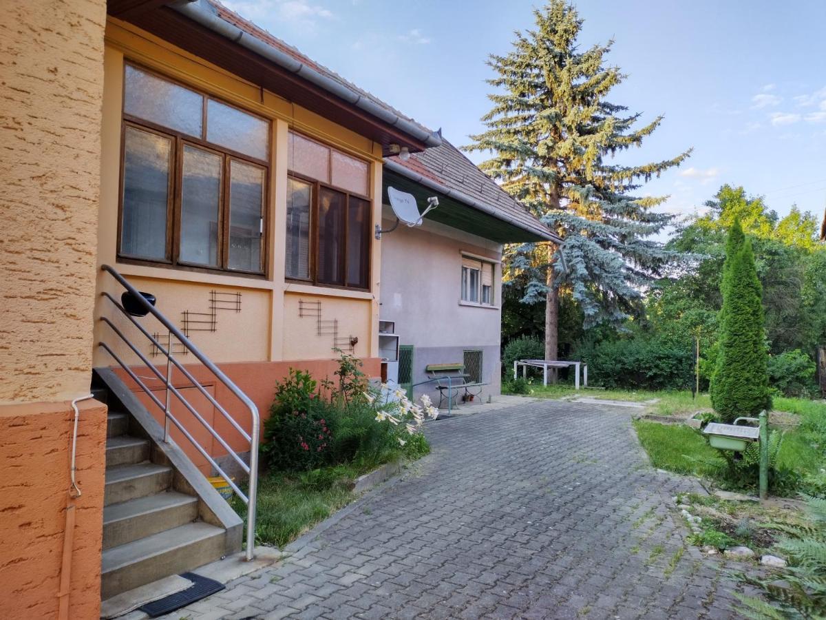 Appartamento Zadora Haus Săcele Esterno foto